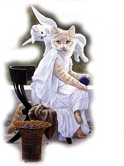 Catz 20